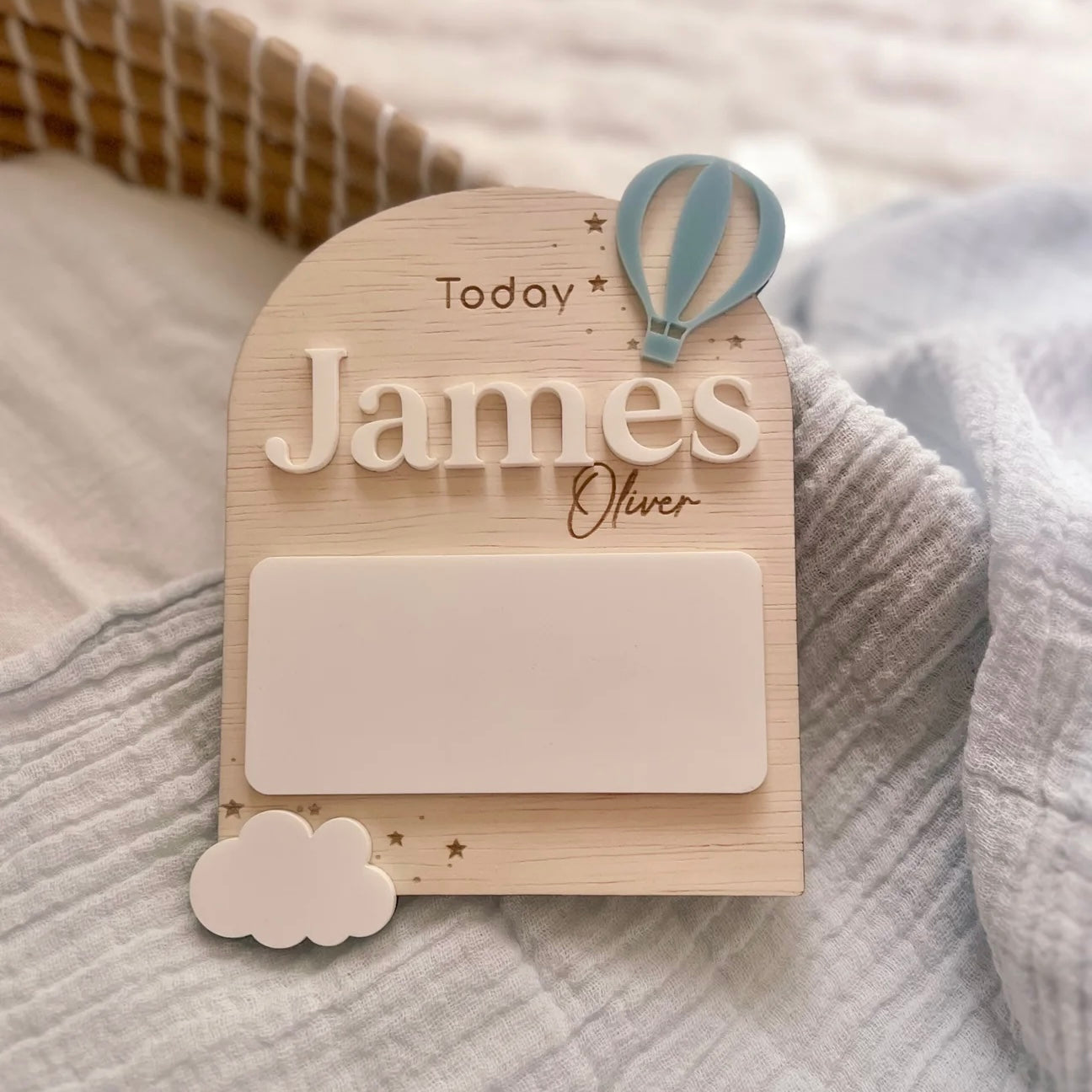 Baby Milestone Plaque - Hot Air Balloon